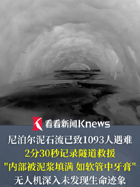 从瀚森身上看男，1xbet平台，篮未来，回击质疑的华丽篇章